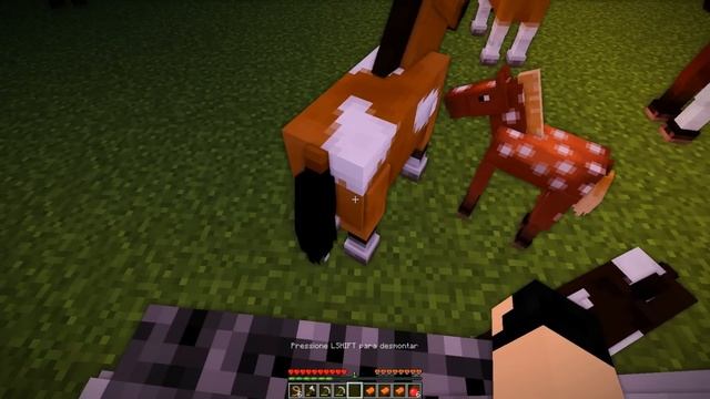 PERDIDO COM MINHAS EX 5.0 #14 - ANDEI DE CAVALO NA ILHA E A POLICIAL FICOU ME BEIJANDO?! смотреть онлайн