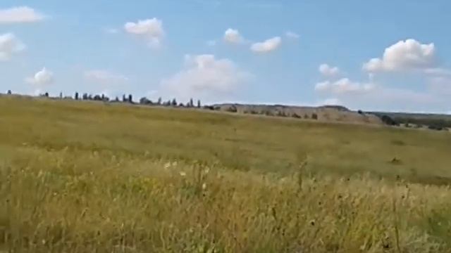 Пташенята жайворонка смотреть онлайн