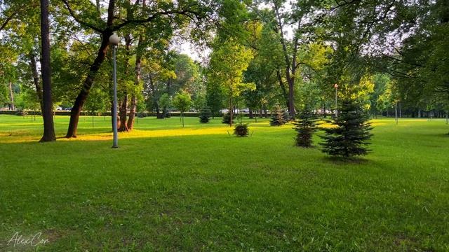 4k Природа Санкт-Петербурга. Relaxing piano music смотреть онлайн