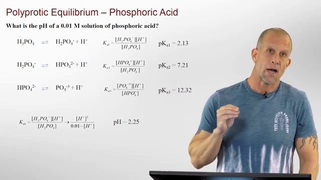 PolyProtic Equilibrium - Amino Acids смотреть онлайн
