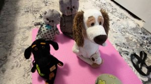 басики занимаються йогой