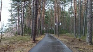 Обзор санатория "Сосны" в Беларуси - ваш оазис спокойствия!