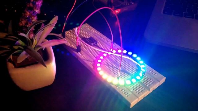 NeoPixel RGB LED Ring in action - powered by Raspberry Pi 3 смотреть онлайн