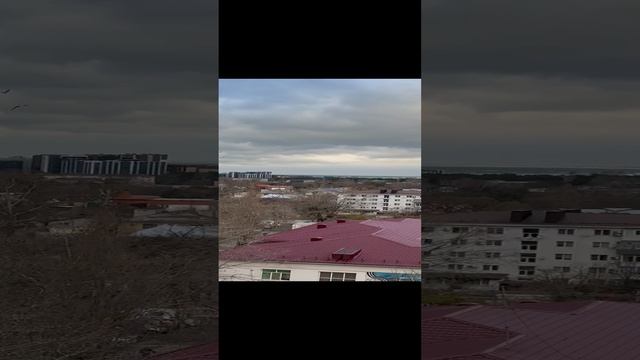 #shorts погода в Анапе 13.12.24 смотреть онлайн