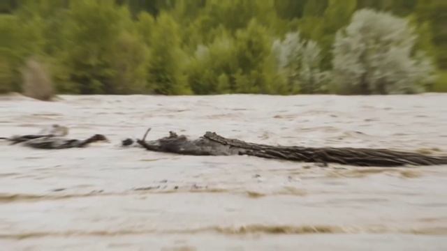 Drone Footage Over Yellowstone Park Captures DISTURBING Footage смотреть онлайн