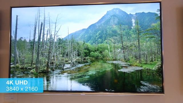 What is 4K UHD Television? смотреть онлайн