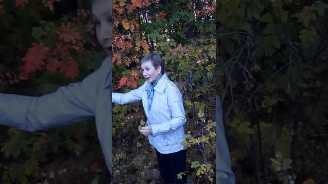 Олег Ефименко "Осенний романс". смотреть онлайн