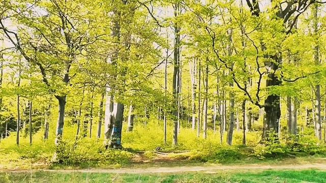 Дневник приёмной мамы/Обзор. смотреть онлайн