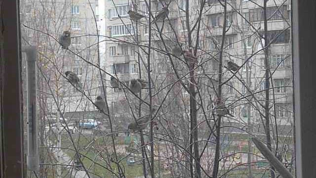 P1060289 смотреть онлайн