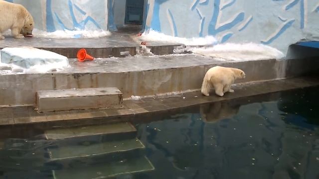 А на десерт - тыква!!! смотреть онлайн