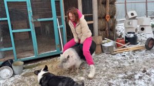 СПАСЛА РЫСЬ ОТ ОХОТНИКОВ / Встреча с мамой рыси Ханны