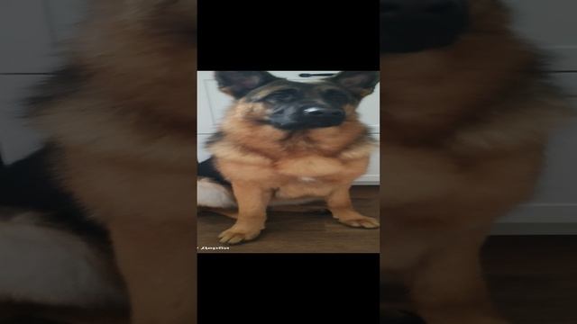 1000105596.mp4 смотреть онлайн
