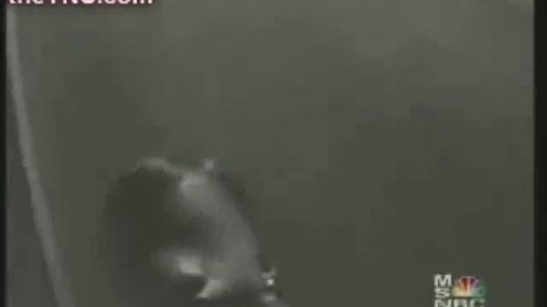 child prostitution in thailand