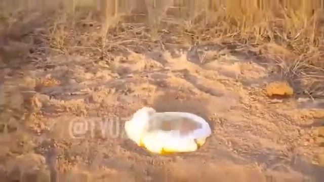 Соса Сола, тиш пастаси ва водород аралашмаси смотреть онлайн