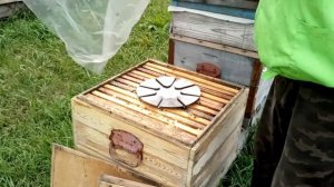 Отбор мёда с помощью пчелоудалителей. Пчелоудалитель на 8 проходов.