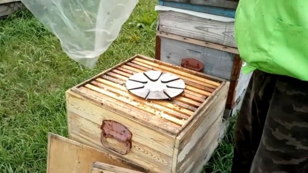 Отбор мёда с помощью пчелоудалителей. Пчелоудалитель на 8 проходов.