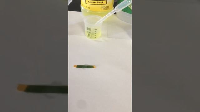 pH Lab смотреть онлайн