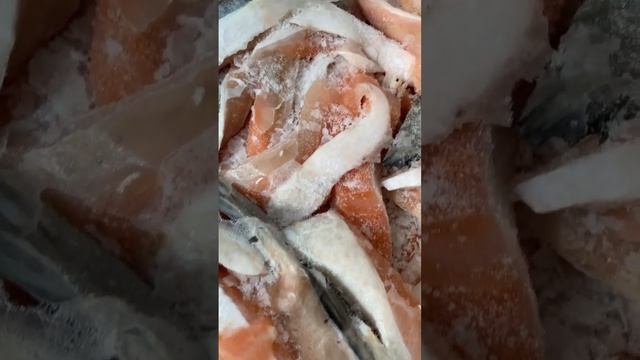 Брюшки семга лосось Premium 🔥🔥🔥🔥🔥🔥🔥🔥🔥🔥🔥г.Новосибирск #икраоптом salmon #икракраснаятомск смотреть онлайн