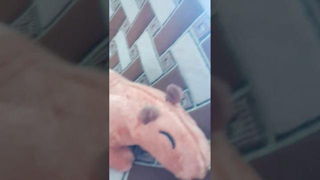 капибара смотреть онлайн