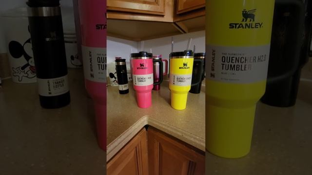 Stanley Cup Collection Addition #Stanley #stanleycup #neoncollection смотреть онлайн