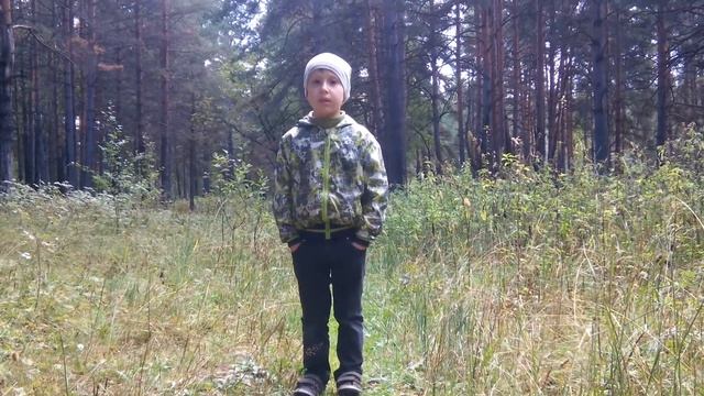 Иван Бунин "Октябрьский рассвет" #страначитающая www. drofa-ventana.ru смотреть онлайн