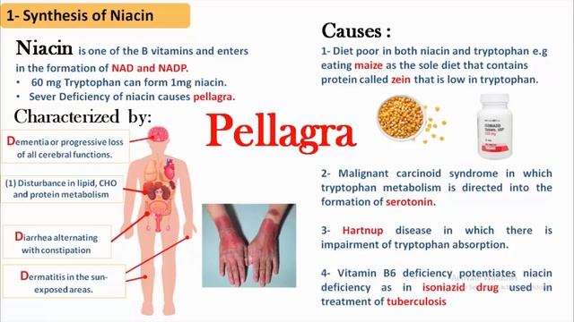 Lecture 5 : Tryptophan смотреть онлайн