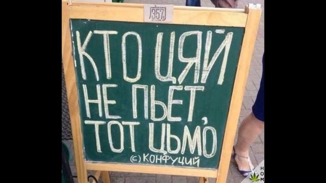 Тупая как дрова смотреть онлайн