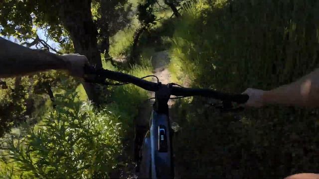 New 2024 Canyon Neuron, now with Bosch SX motor - Lighter is better right? смотреть онлайн