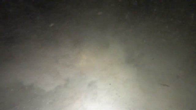 Амур 8,1 смотреть онлайн