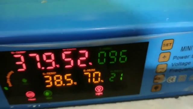 #хитой#мини инкубатор100% утди учинчи синовда. смотреть онлайн