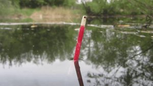 НАШЛИ БОЛОТО ПОЛНОЕ РЫБЫ......РЫБАЛКА НА ПОПЛАВОЧНУЮ УДОЧКУ 2025.