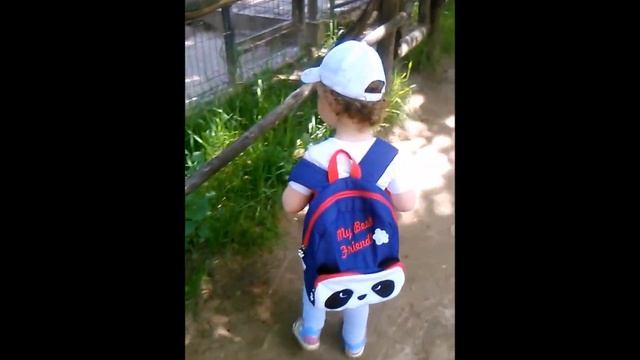 Амина в Зоограде смотреть онлайн