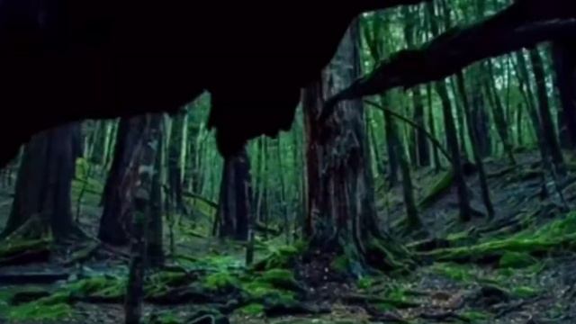 Beautiful Creatures-RIO 2|Slowed and Reverb| смотреть онлайн