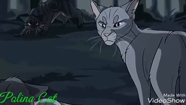 Коты воители ||Мы еще далеко от мира.. смотреть онлайн