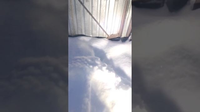 Кому как а мне уже хватило снега, давайте весну уже 😄 смотреть онлайн