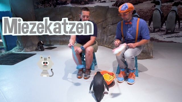 Blippi lernt etwas über Vögel in der Wildnis | Blippi Kinder Videos | Moonbug Kids Deutsch смотреть онлайн