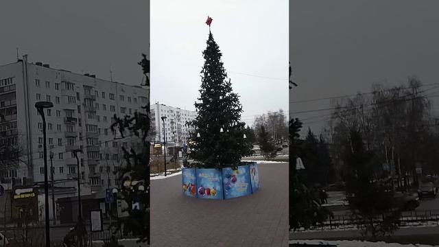 А ёлочка Вам нравится?)#ёлочка #приколы смотреть онлайн