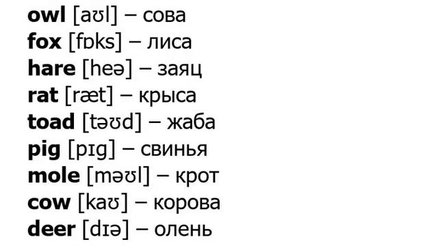 Learning English together: Животные : Owl…/11.06.22 смотреть онлайн