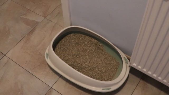 COMPRAS ONLINE para os meus gatos na Polonia смотреть онлайн