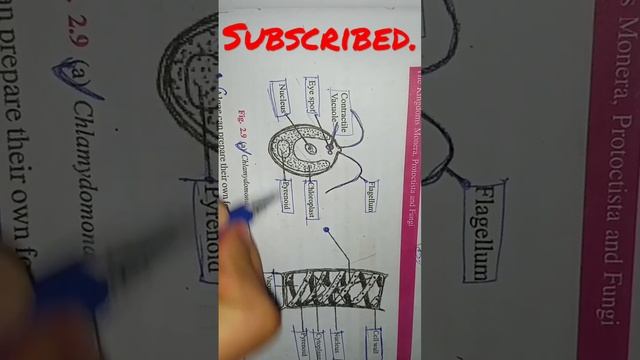 #biologyclass #niosbiology class 12 #science @#shortes@# asmr@#@# смотреть онлайн