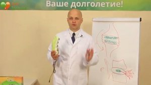 Нефритовый прожектор - Позвоночник и суставы - Александр Малко