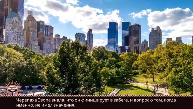 Красивая музыка и песни птиц принесут вам покой 🌼 Вдохновляющие цитаты #6 смотреть онлайн