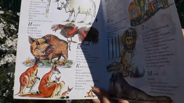 «Разные разности» Борис Заходер смотреть онлайн