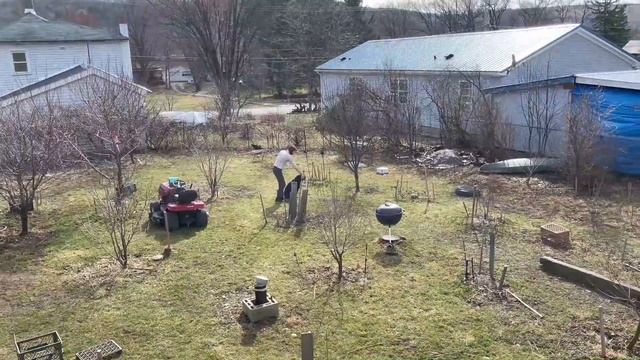 Big Dominant high Drive dog, Use Attrition with Labrador смотреть онлайн