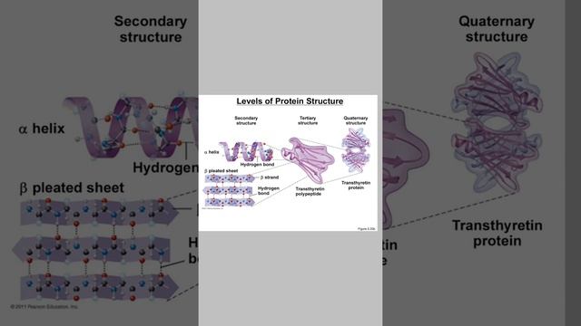 chapter 5 part 2 смотреть онлайн