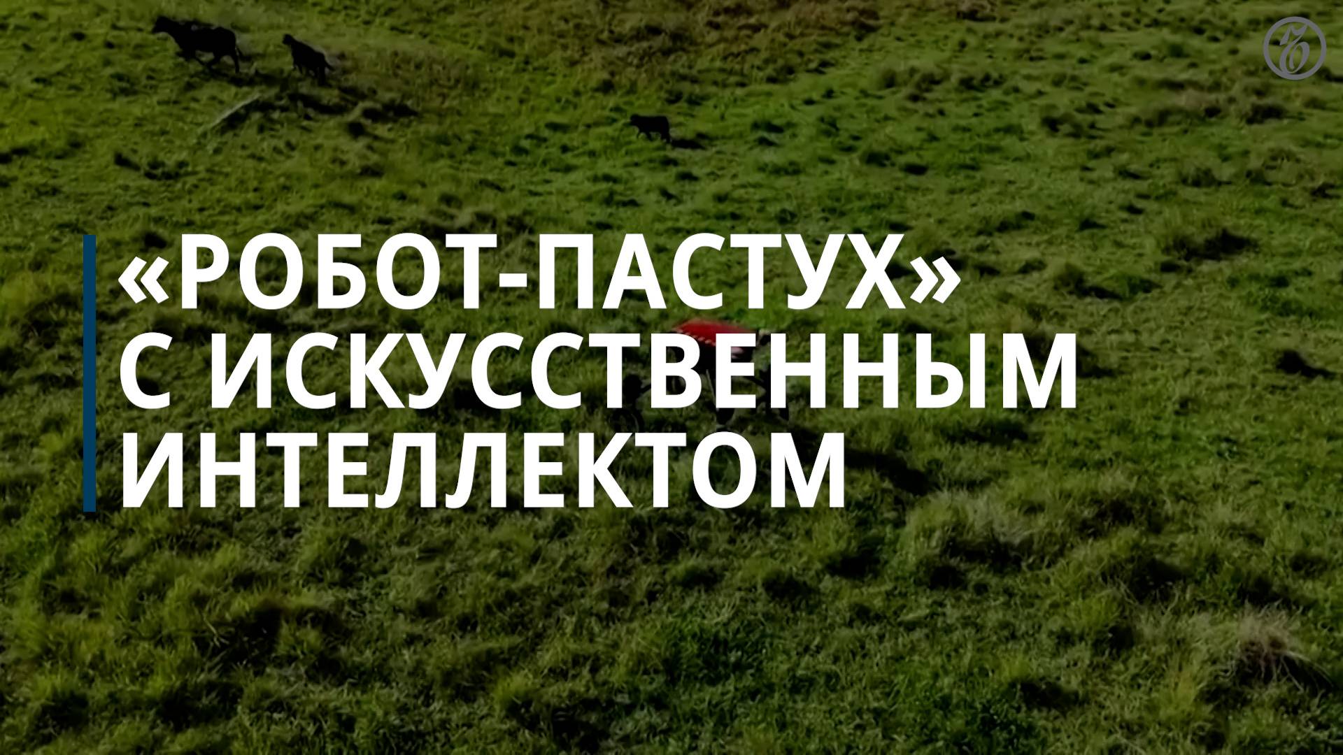 «Робот-пастух» с искусственным интеллектом смотреть онлайн