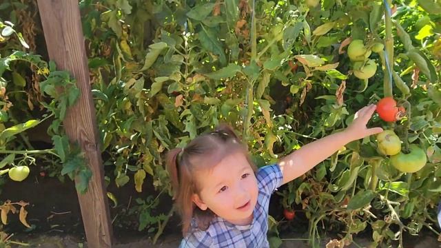 РЕЦЕПТ ОКРОШКИ●МЫ СНОВА ВЛИЛИСЬ В НАШУ ПРЕЖНЮЮ ЖИЗНЬ●#64 смотреть онлайн