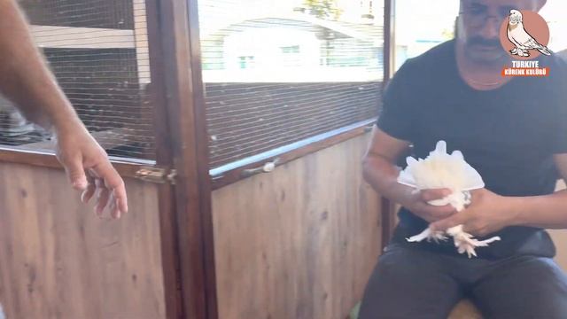 BU İŞİN DUAYENİ MELİH YILMAZ - KÜRENK KULÜBÜ смотреть онлайн