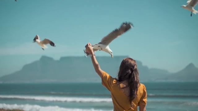 Спокойная музыка. Мир пернатых. Удивительная жизнь пернатых смотреть онлайн