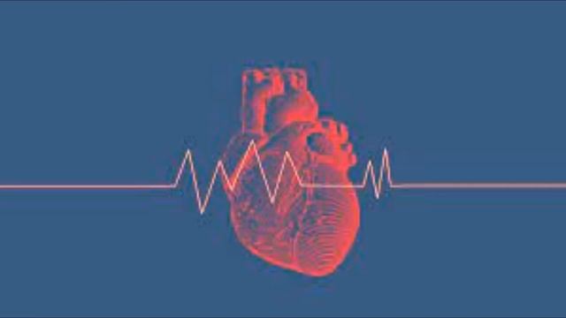 How many senses does the average human have? смотреть онлайн
